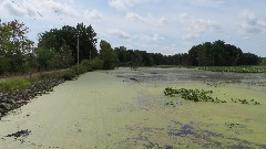 Sheldon Marsh; Huron, OH